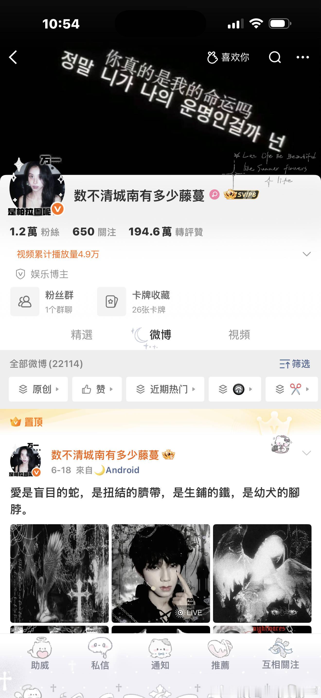 存  专栏 · 竹叶胶片🎞️