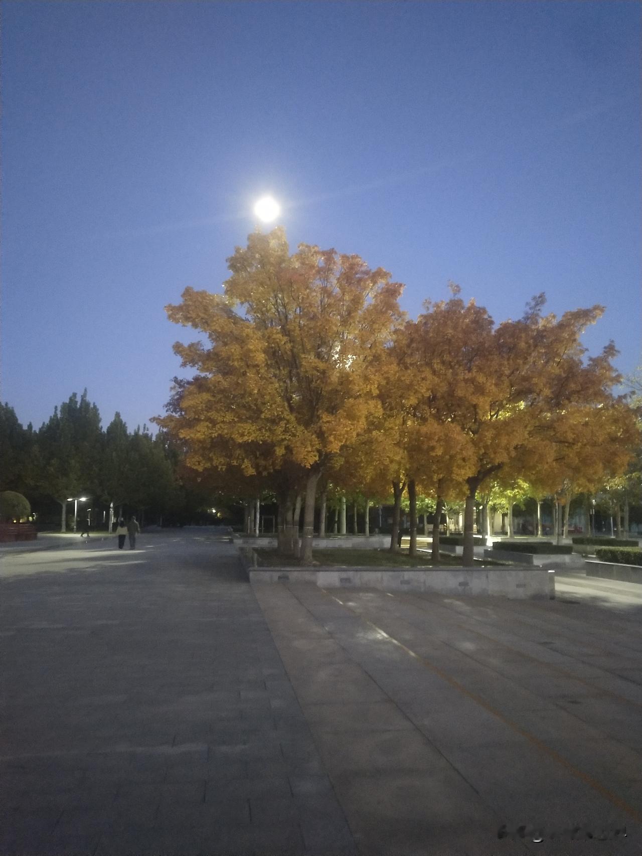 晒图笔记大赛文化公园的夜晚也是唯美的，京津明珠雕塑灯光璀璨，勾勒出初秋的浪漫。