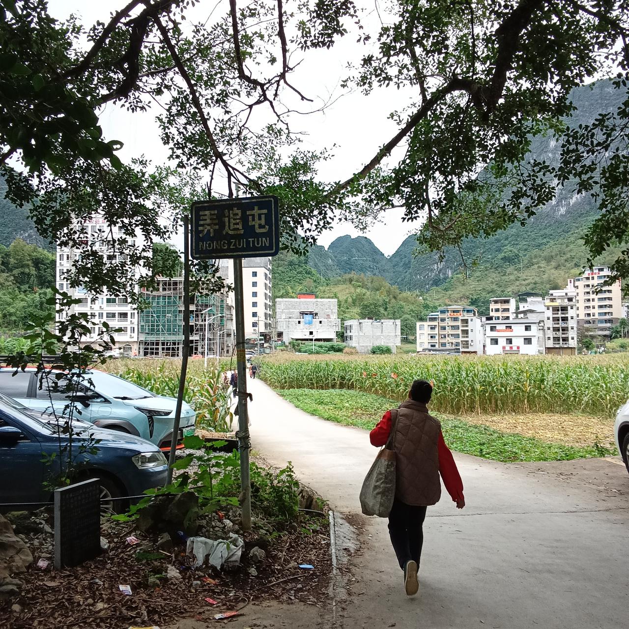 巴马坡月村弄追屯
清静温馨空气清新

今天受邀请来到了弄追屯参观几座新楼。

路