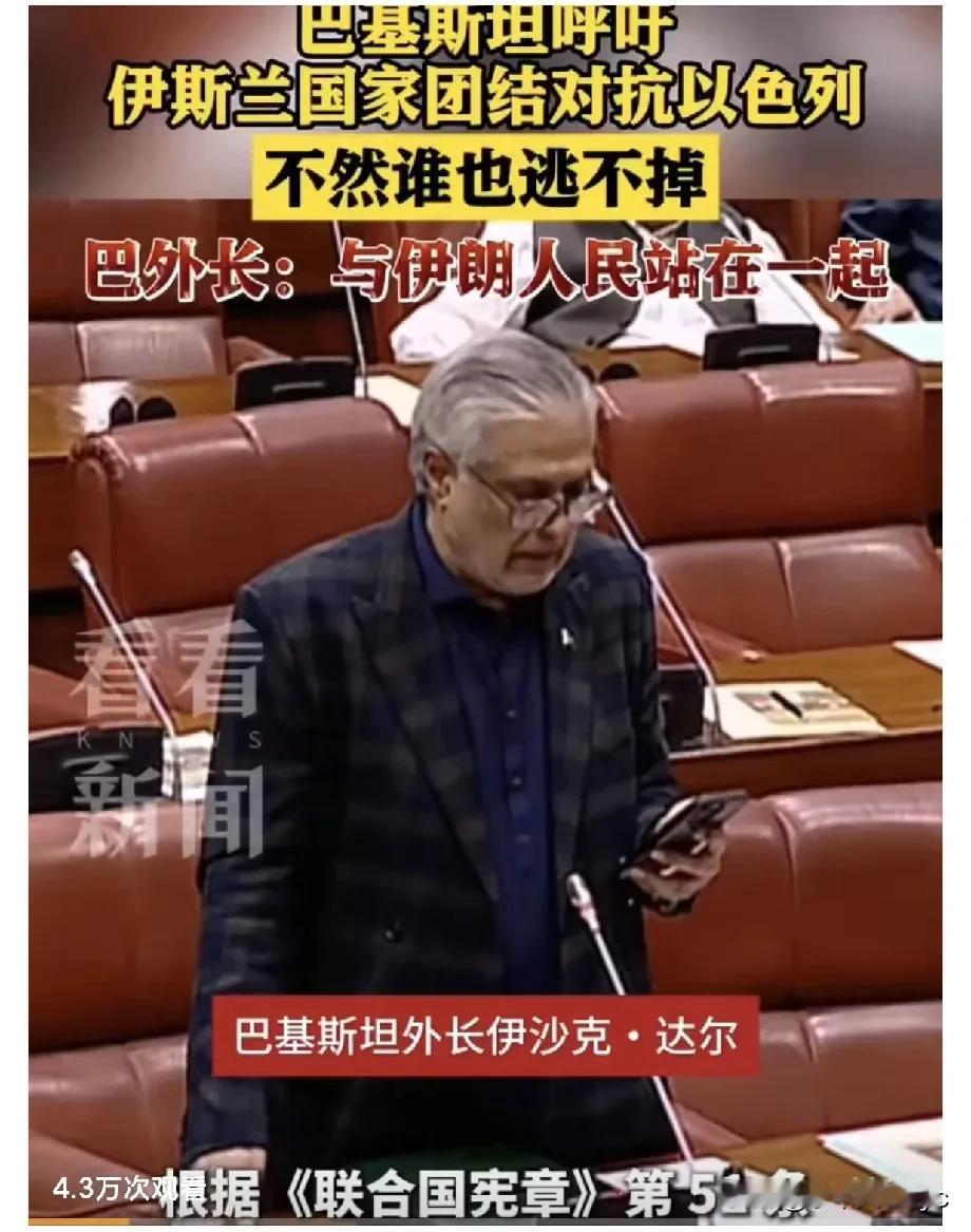 巴基斯坦驻华大使馆微博:
巴基斯坦呼吁伊斯兰国家团结对抗以色列不然谁也逃不掉。，