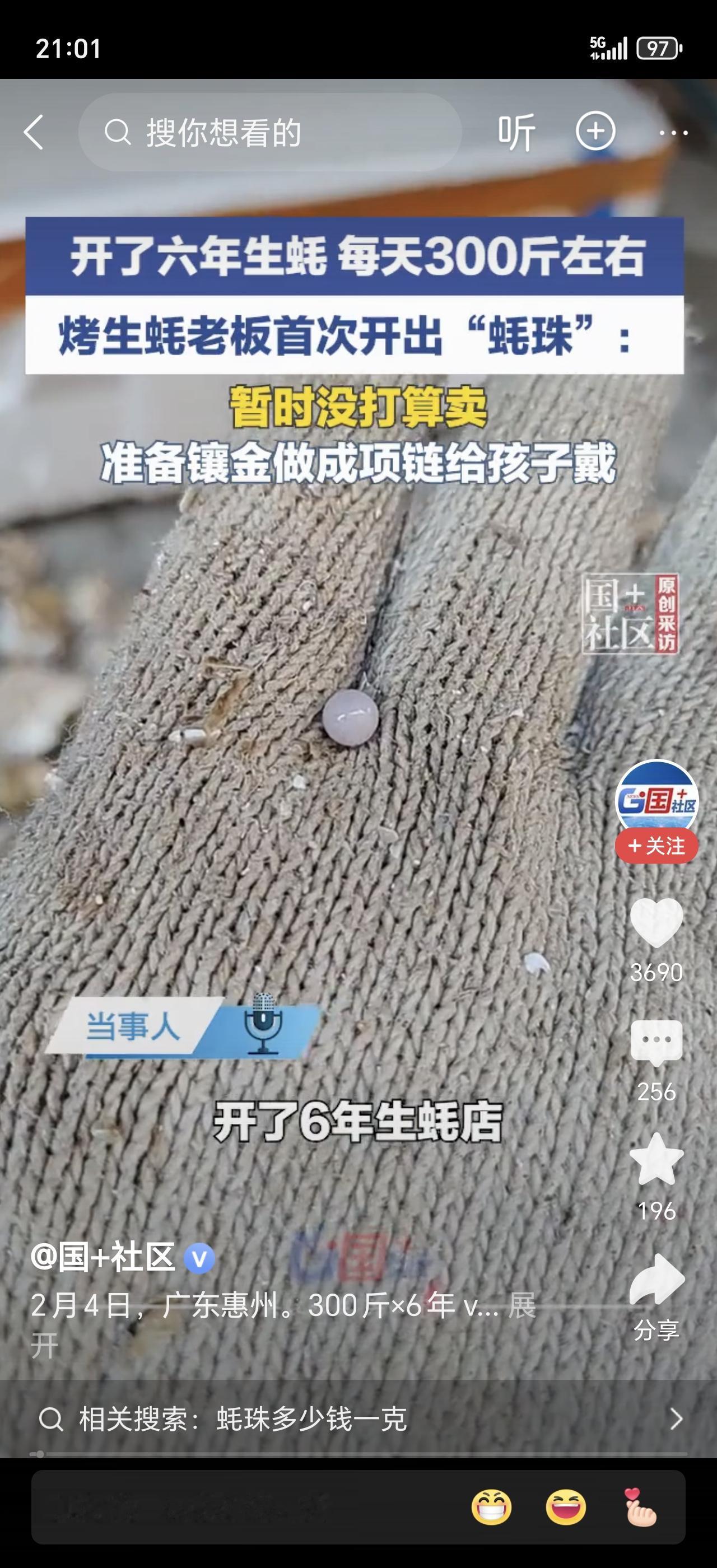 干了6年开生蚝的老板，手都开出茧子了，今天竟然开出了个“大宝贝”——一颗圆滚滚的