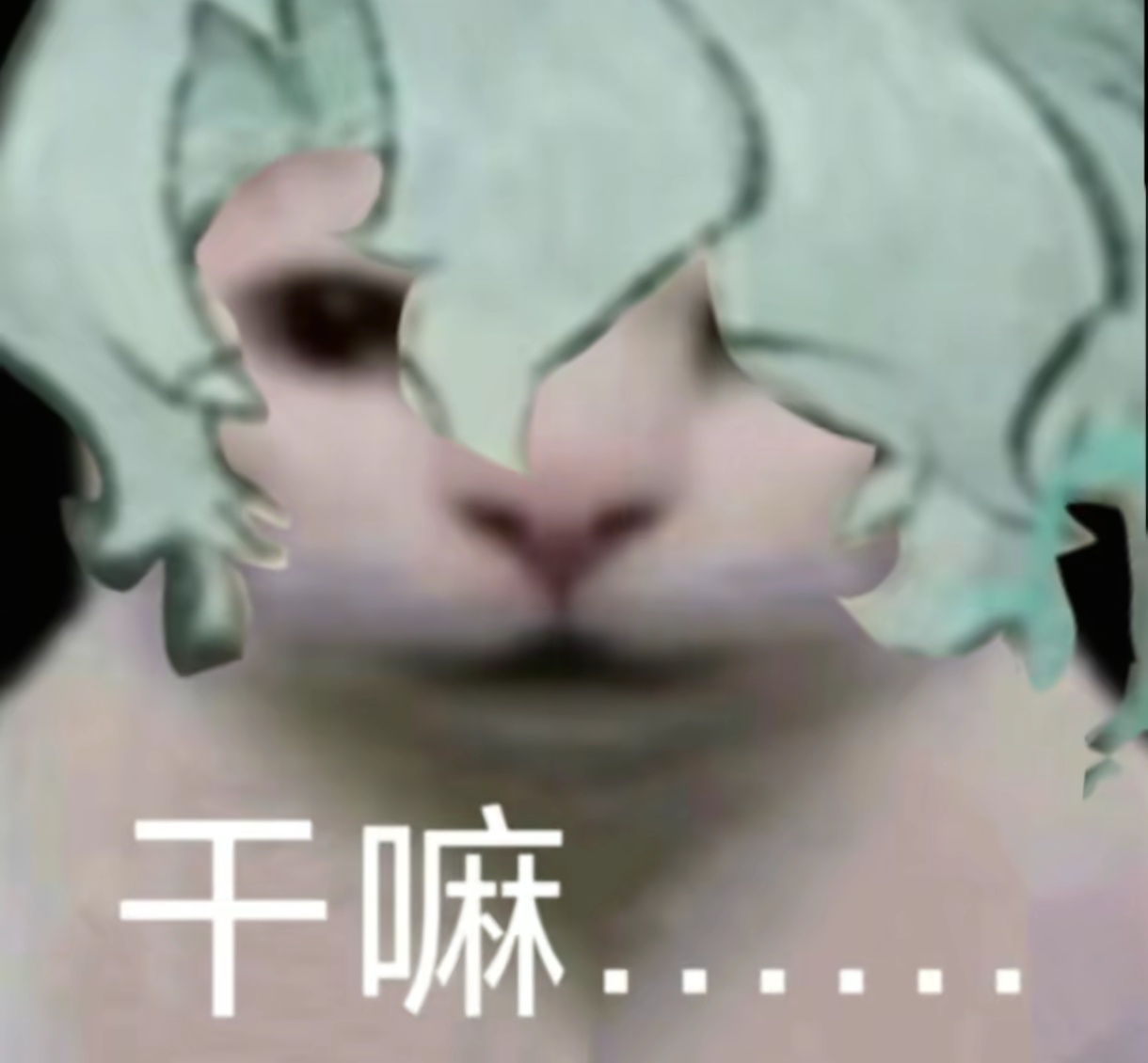 您准备什么时候归还我的ss