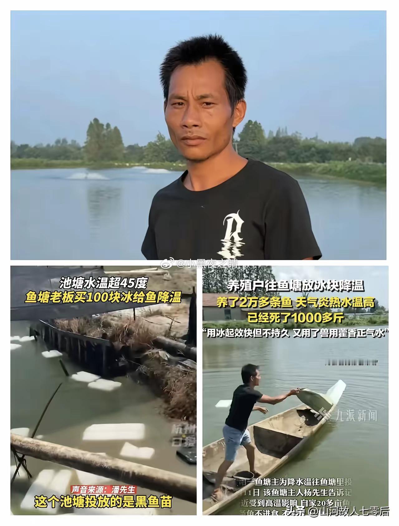高温天养殖户往鱼塘放冰块这事，​其实3年前湖南岳阳也有人这么做过，​当时8月养殖