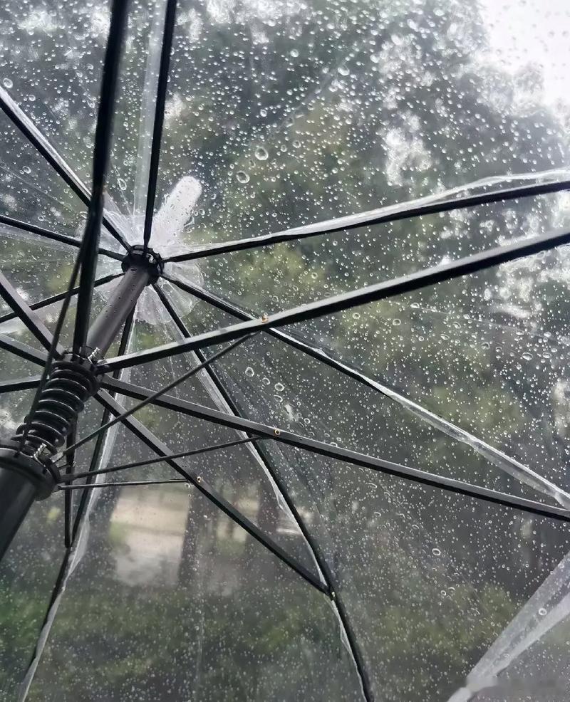 上海突发强雷暴不止上海，苏州也突降大雨，幸亏下午没着急出去