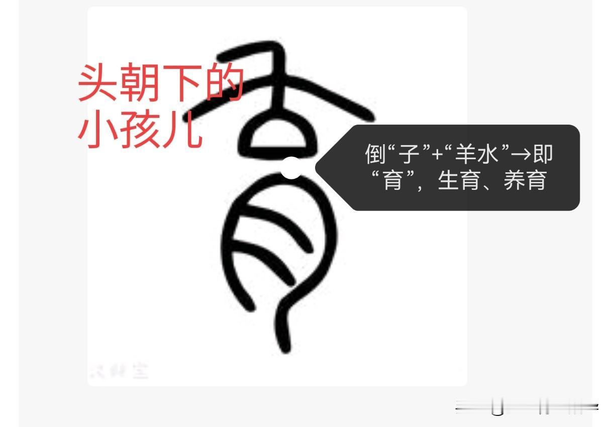 育:
𠫓（tū）：倒写的“子”，表婴儿头朝下出生，引申为“不顺、初生”。
- 