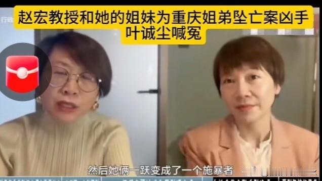 北大赵教授谈重庆姐弟坠楼案和劳荣枝案，观点让人惊掉下巴。

我发现赵教授总是共情