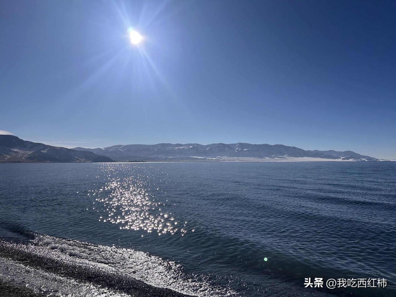 30多岁真的好幸福啊
今早我买了一斤还蹦跶的海白虾，自己收拾自己煮。我放锅里盖上