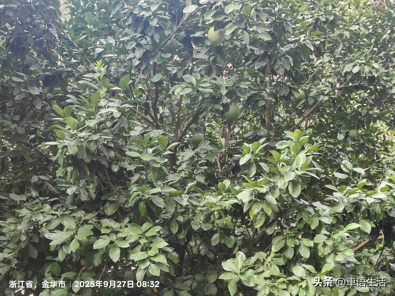 早上的空气就是爽。