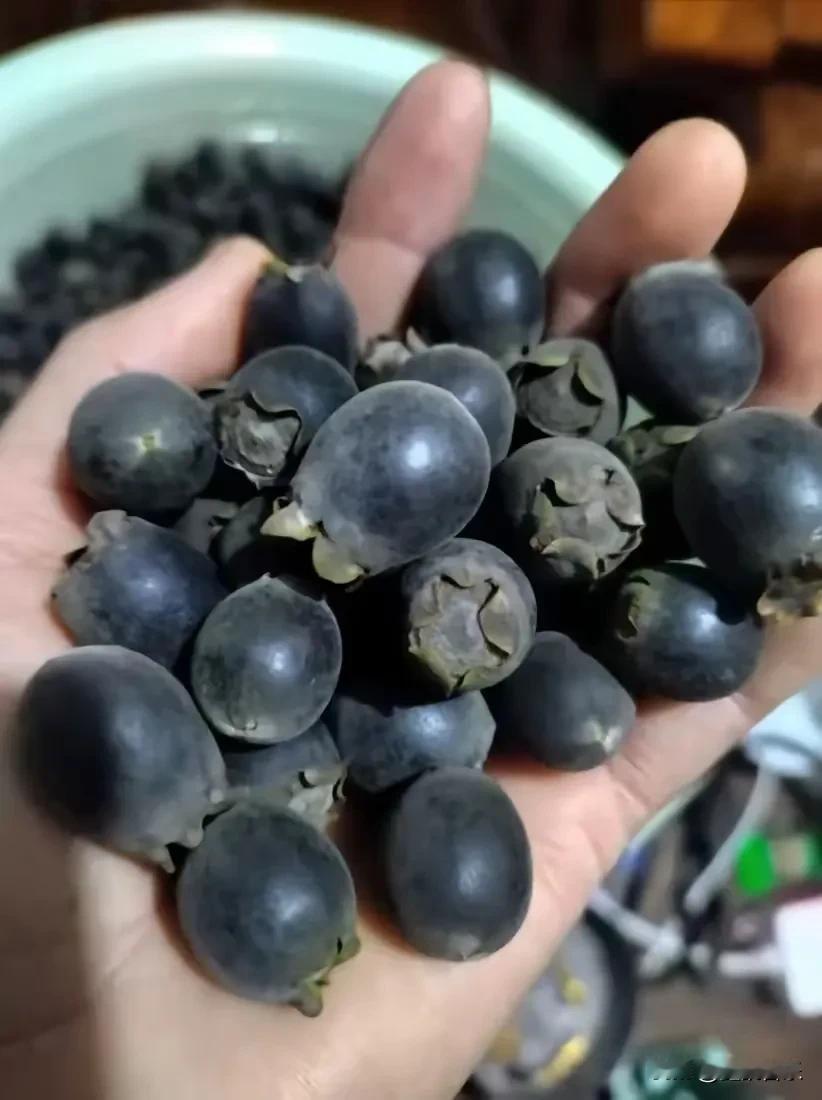  这个季节山上太多了吃不完，怎么保存？或者拿来做什么？全都是黑得发亮晶莹剔透的。