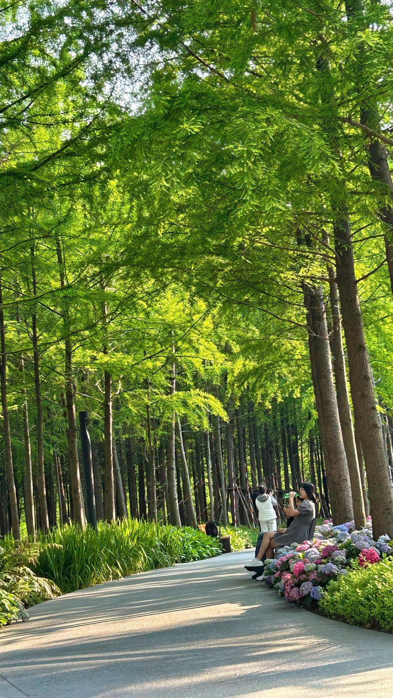 我认为合家出游，假期难得有，更何妨春夏之交，天朗气清，神州大地，一派生机盎然，正