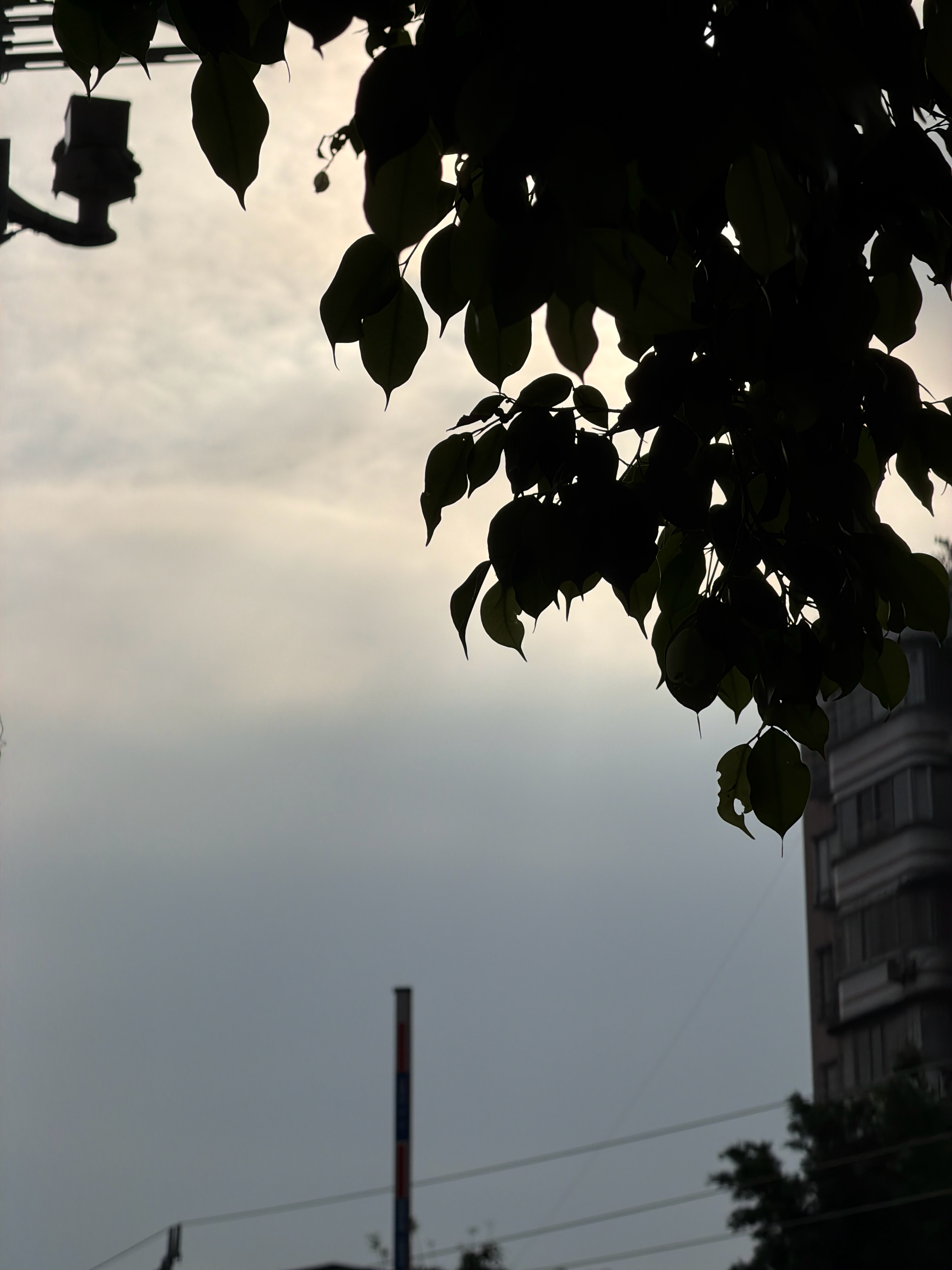 早早早[心] ​​​