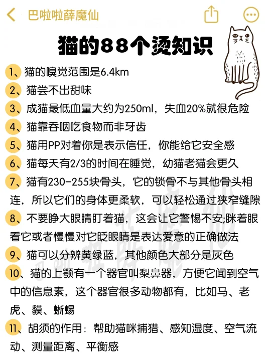 🔥猫的88个烫知识～