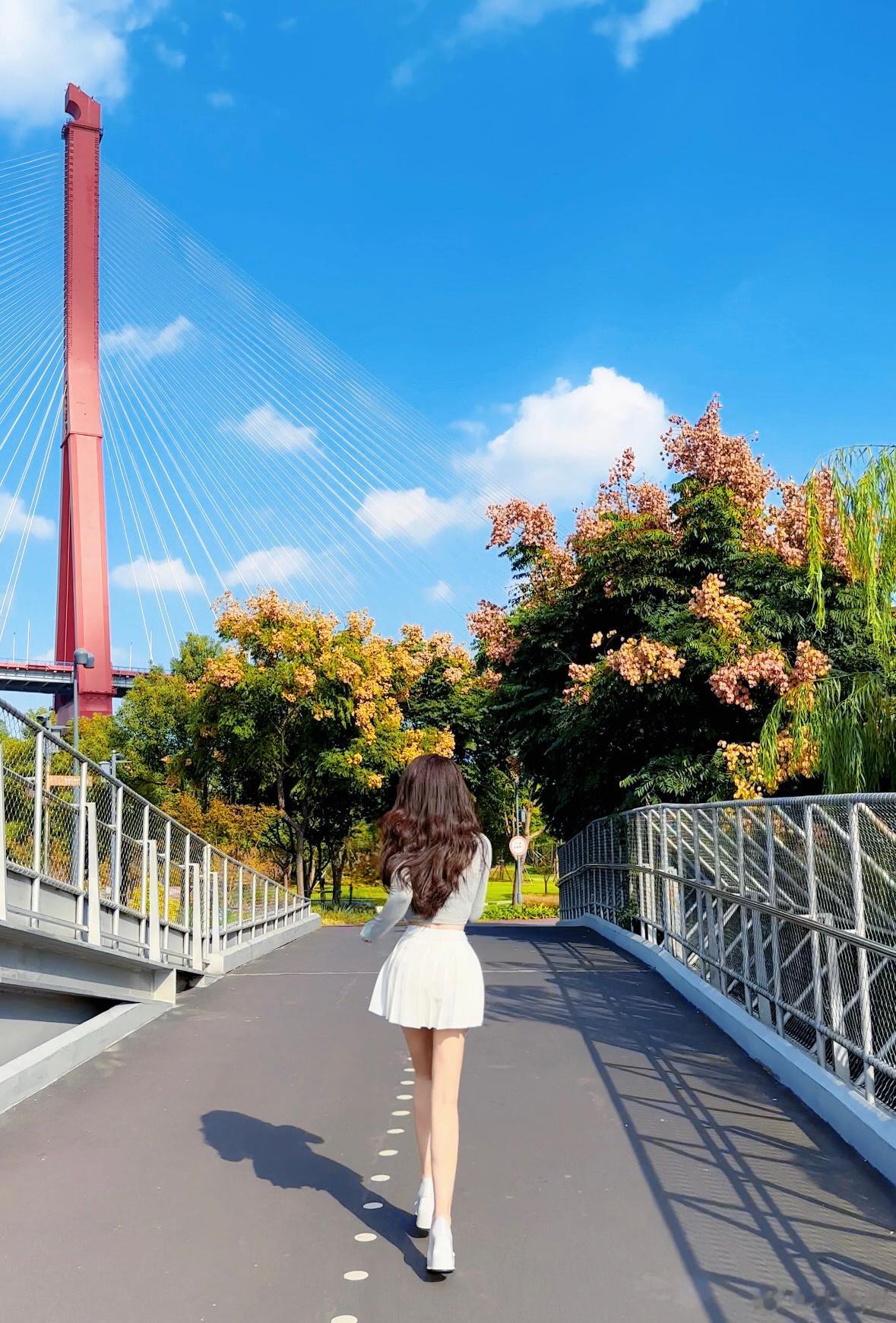 原来这就是史铁生先生书里的栾树🍁  ​​​