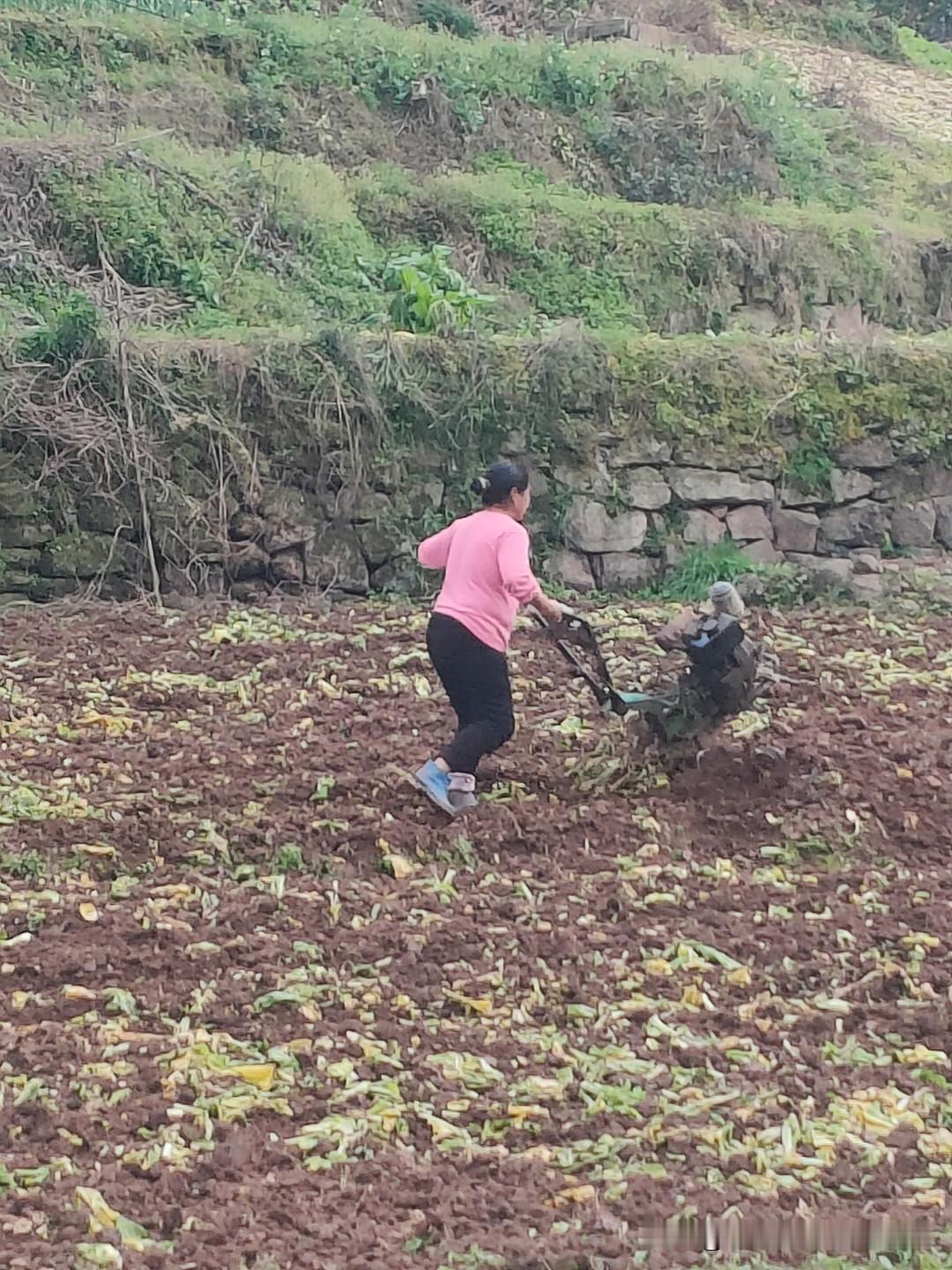 生产经营形式。明确強调，在土地流转过程中，必须遵循农民″自愿，有偿的原则″，决不