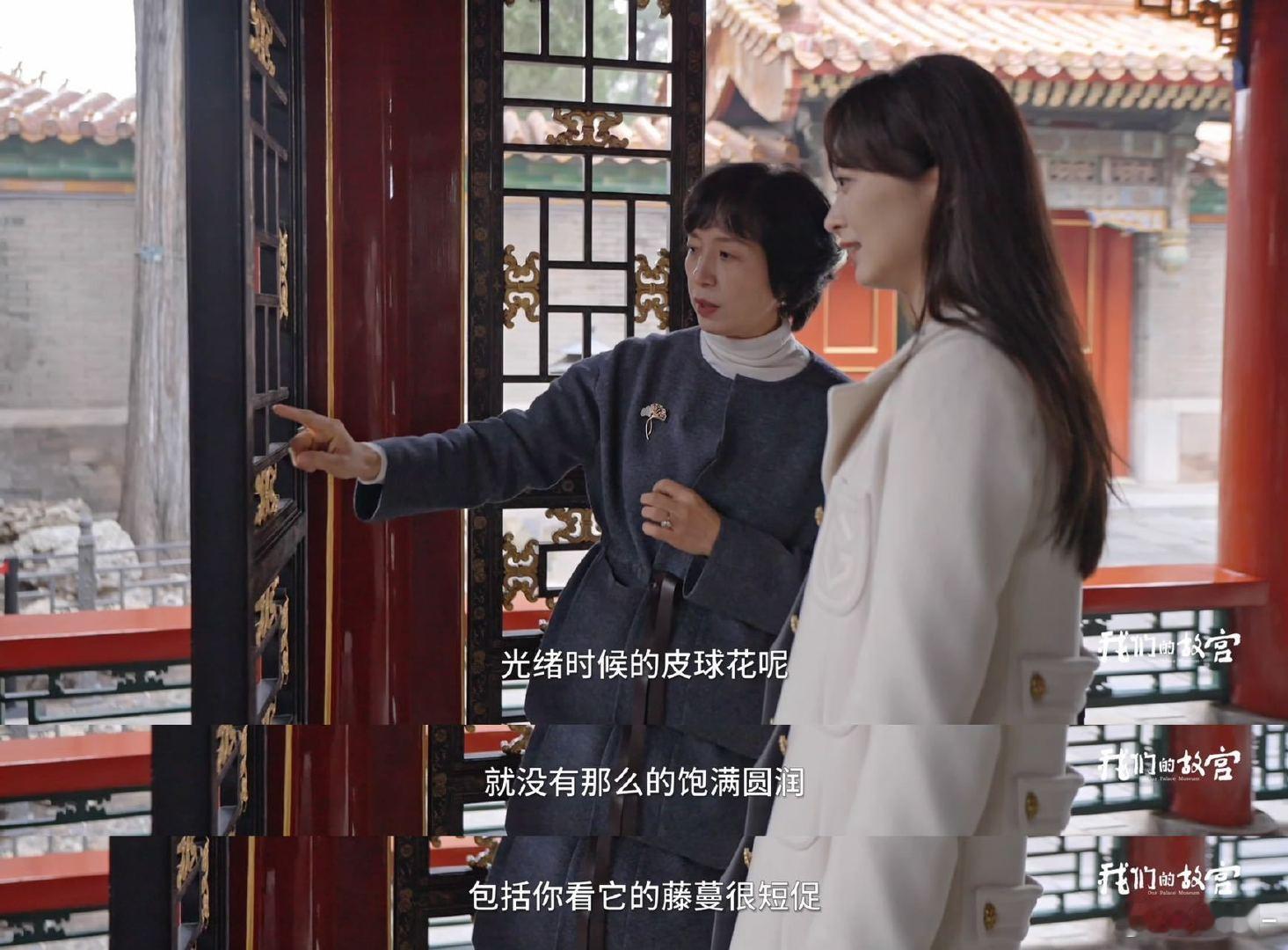 故宫器物纹饰藏巧思，乾隆喜多彩宝相花，华丽饱满显盛景；嘉庆偏素净缠枝纹，简约规整