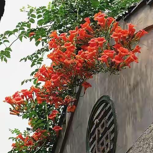 天赐之不可弃，打造郑州沟谷景观！荥阳与郑州主城区相连，而且有陇海西路，中原西路，