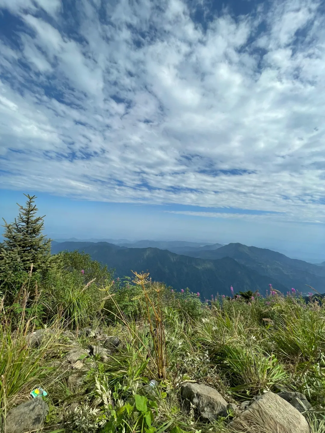当然要去山顶看⛰️看☁️看🌹看🍃✅