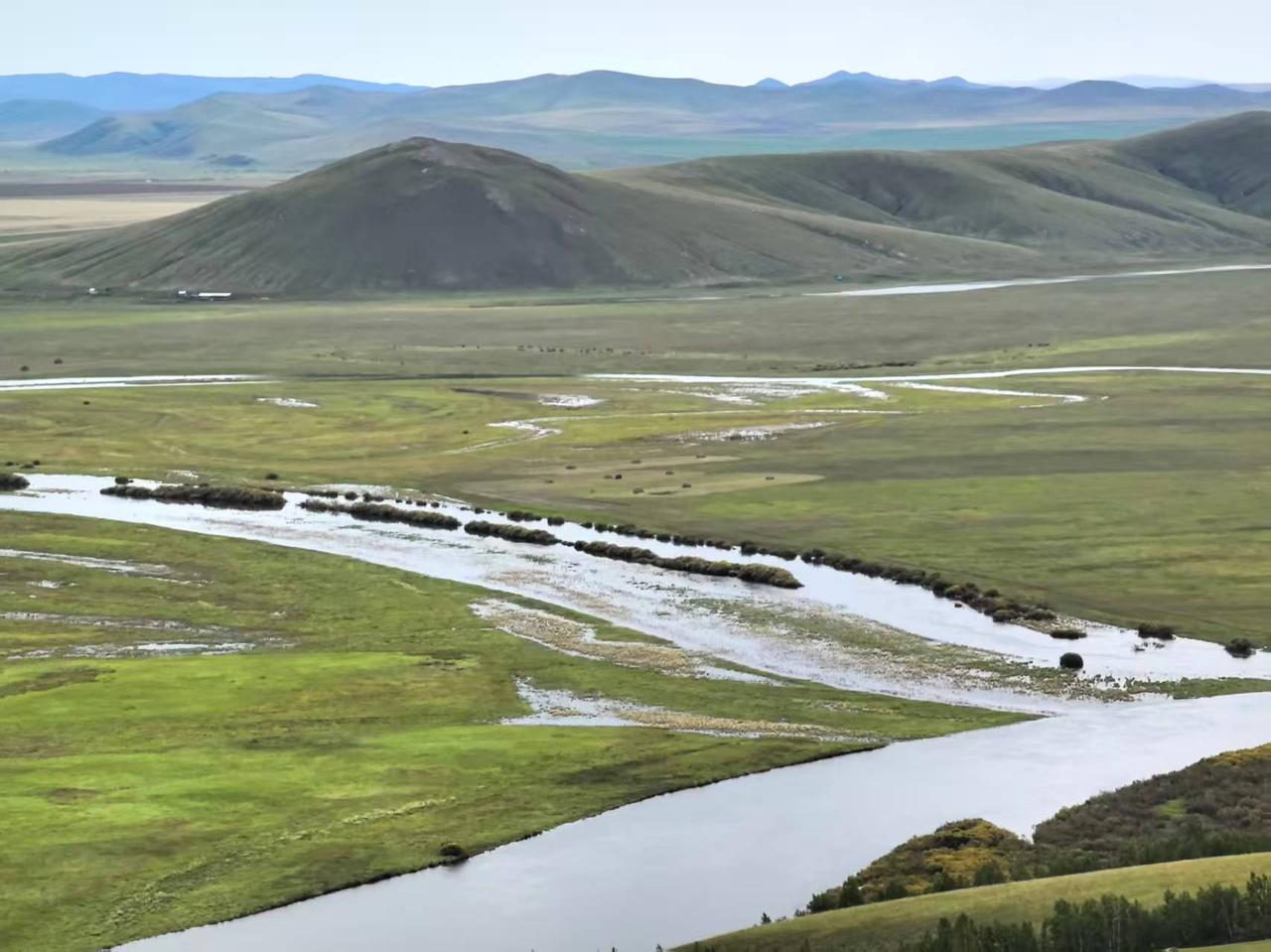 绿草无际古道长