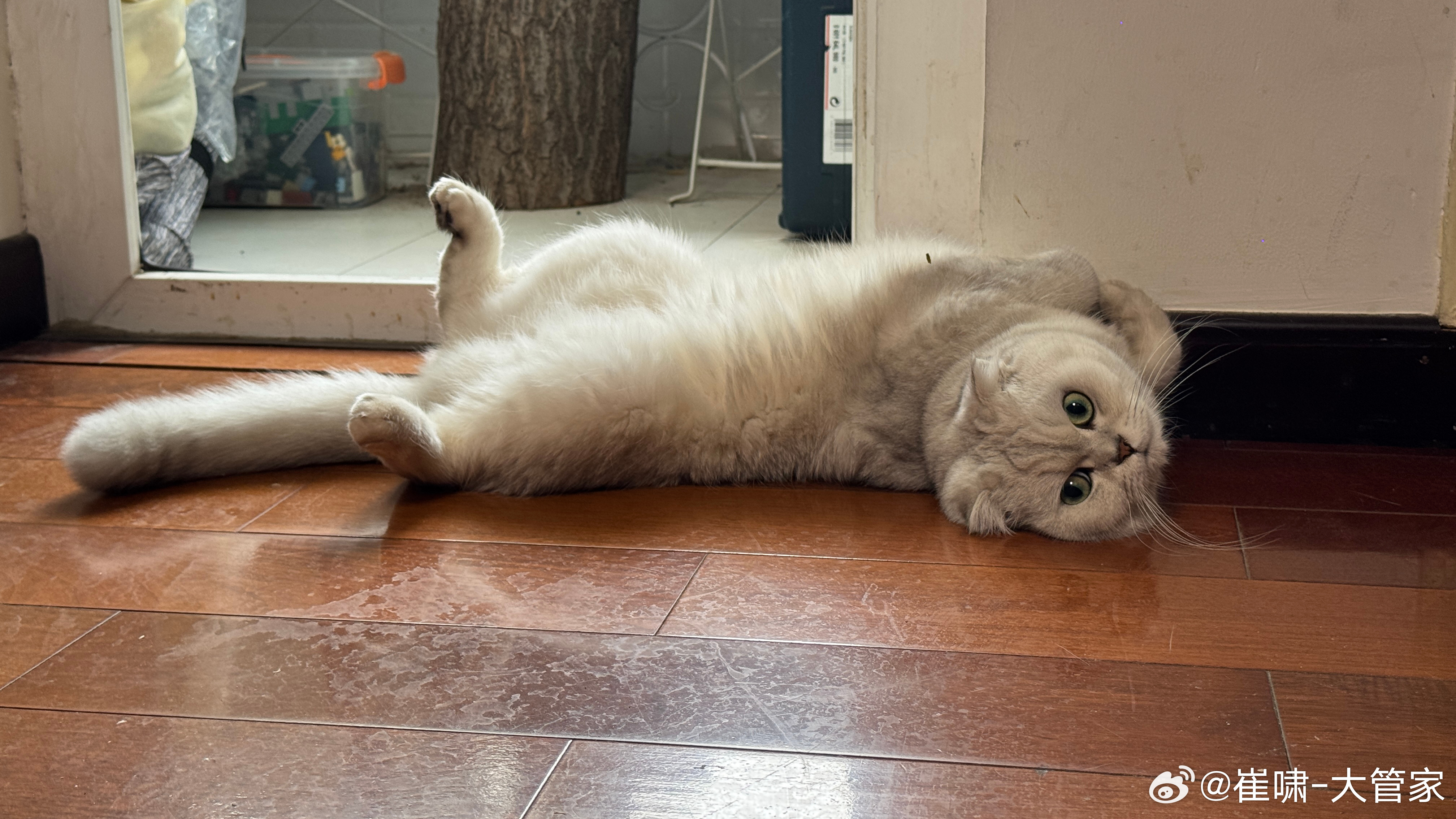 今天看到一条关于某车企和消费者打官司的评论，惊为天人！“你要抓的是周树人，关我鲁