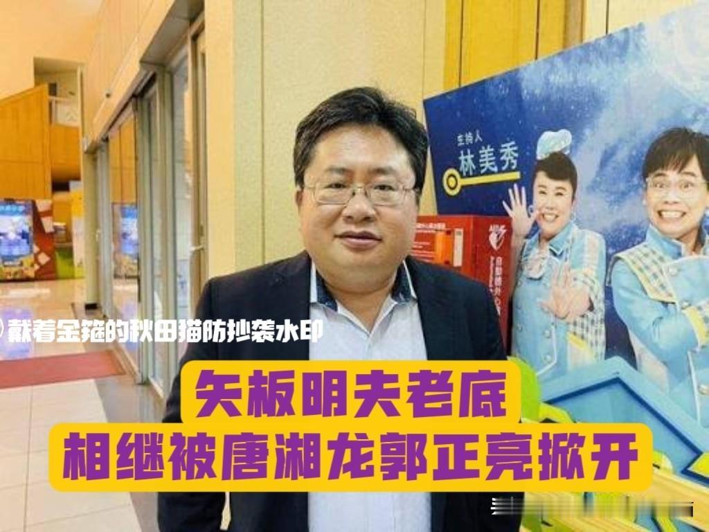 矢板明夫被揍，其老底彻底被掀！郭正亮和唐湘龙都看不下去了，唐湘龙揭开矢板明夫老底