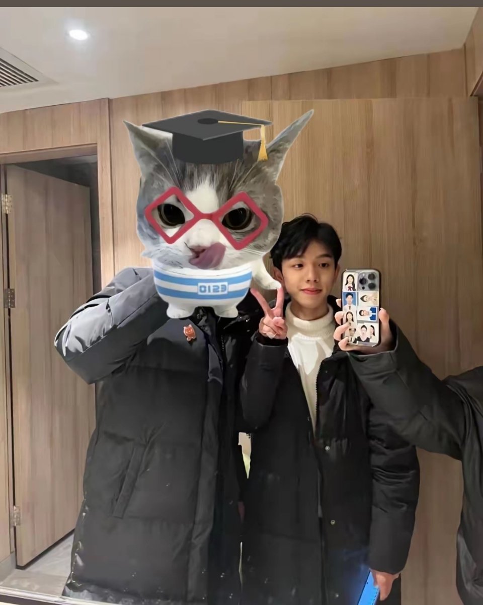 墙角开了一朵小花 