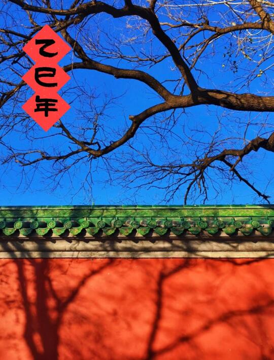 各位熬闰 乙巳年康健魅力全秘籍已出👉🏼