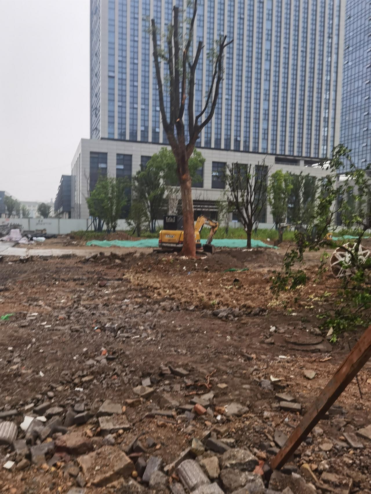 5月21日，早上冒雨去看了看袍江安居城，绿化已经开始，门前已栽了棵大树，拉树的车