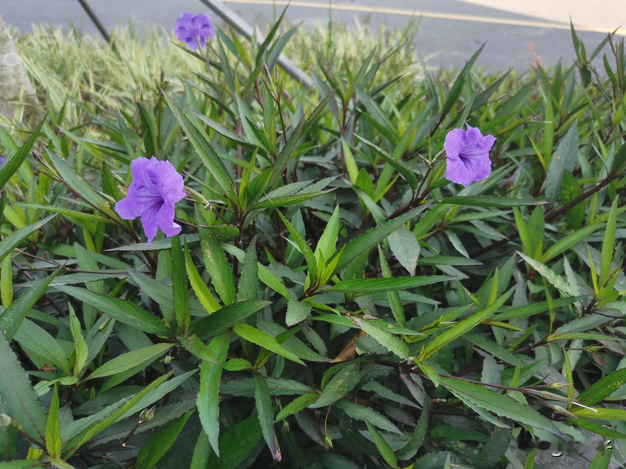 不是所有女人都讲究干净。

比如我。出去爬山累了，我就往台阶上、石头上一坐。坐垫