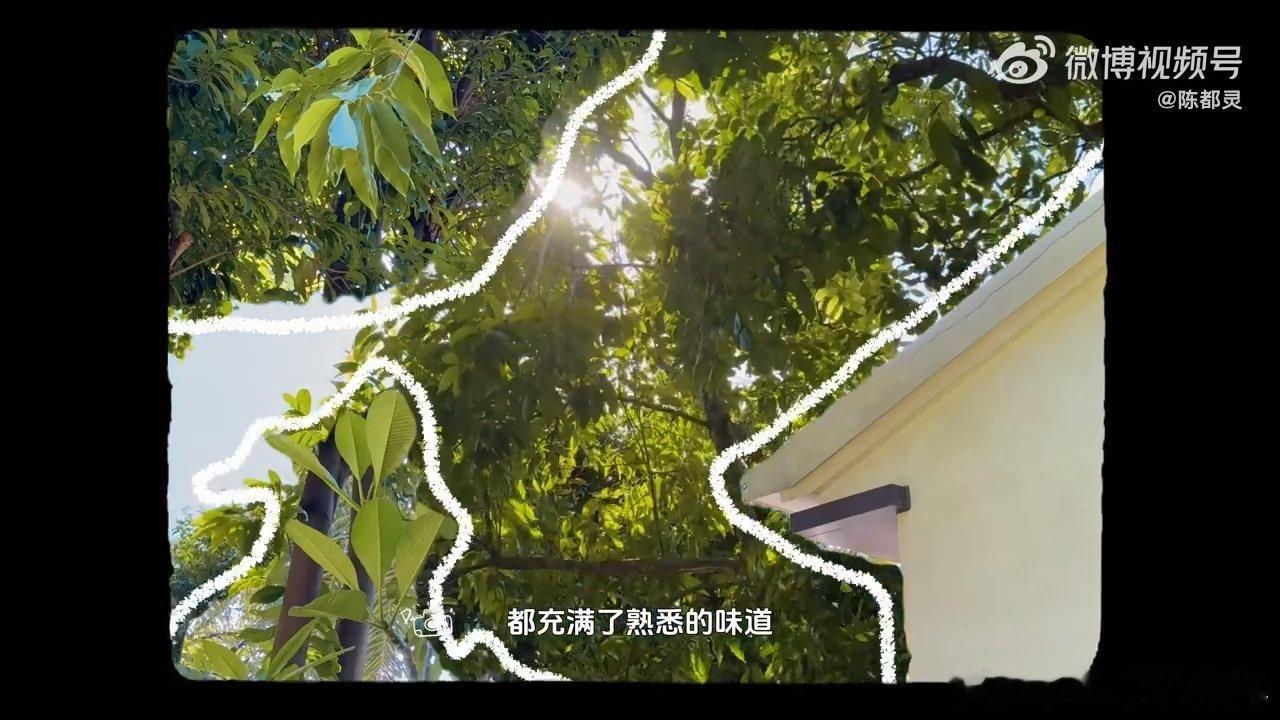 陈都灵金鸡奖vlog陈都灵十一月vlog 陈嗯嗯 