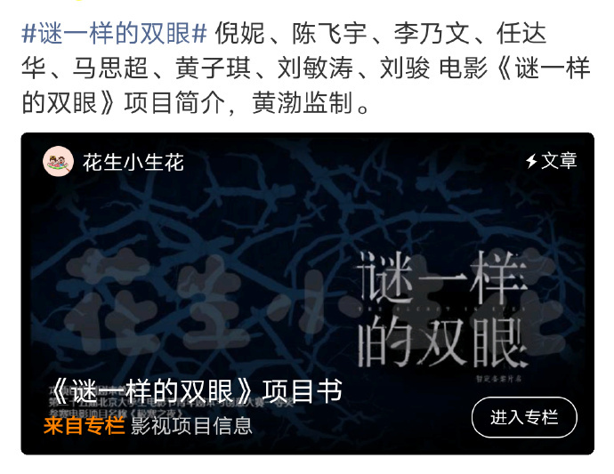 倪妮、陈飞宇《谜一样的双眼》故事梗概和人物小传，这个阵容+剧情，真有点期待了