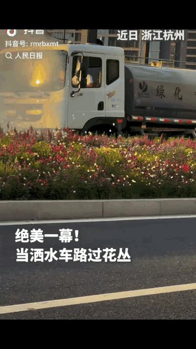 “没想到上人民日报了！”杭州，一车主路遇洒水车给路边的花丛酒水，开始还以为司机会