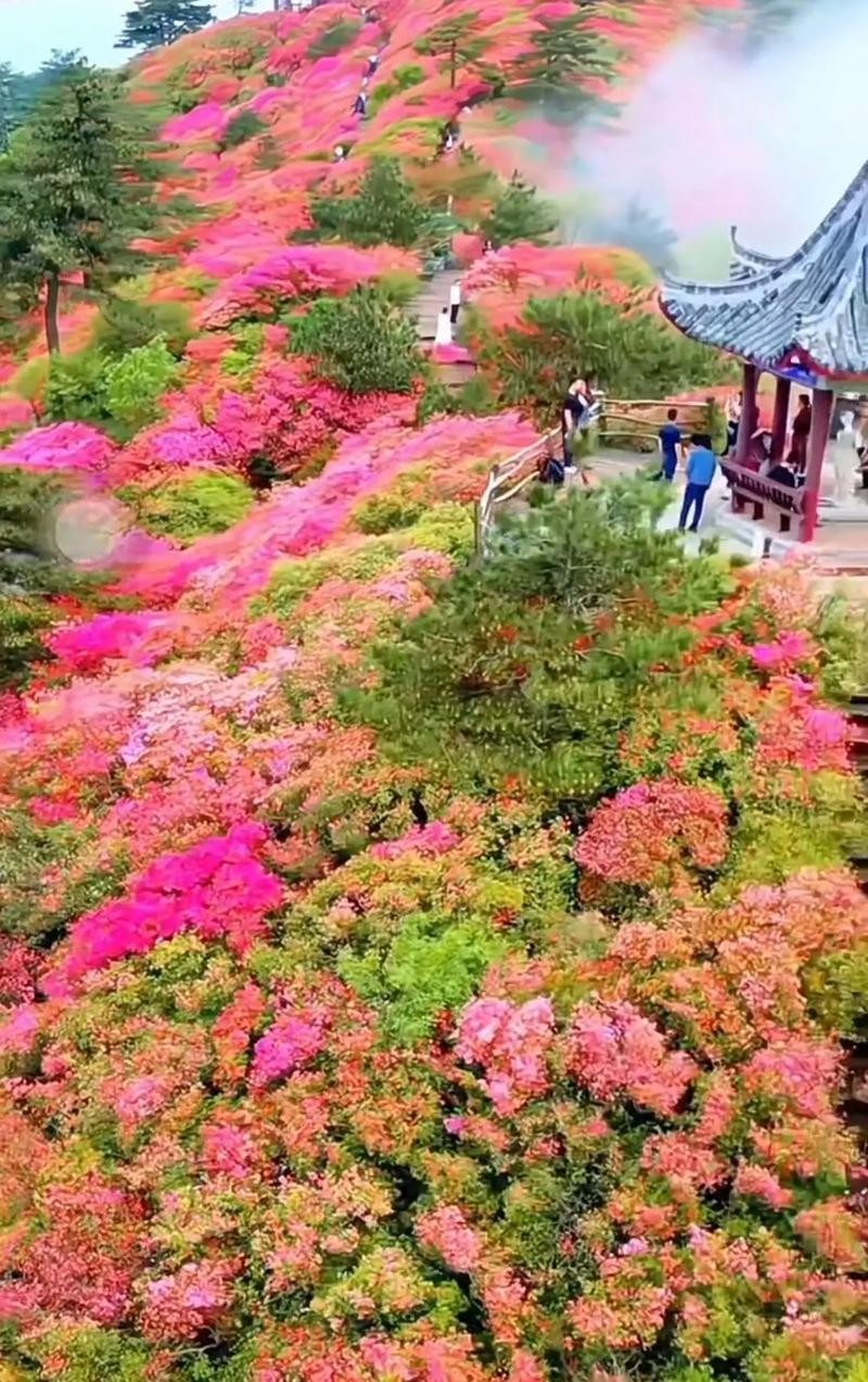 麻城龟峰山创成鄂东首家5A景区！红安何时接棒？大别山文旅格局正在被重写
2024