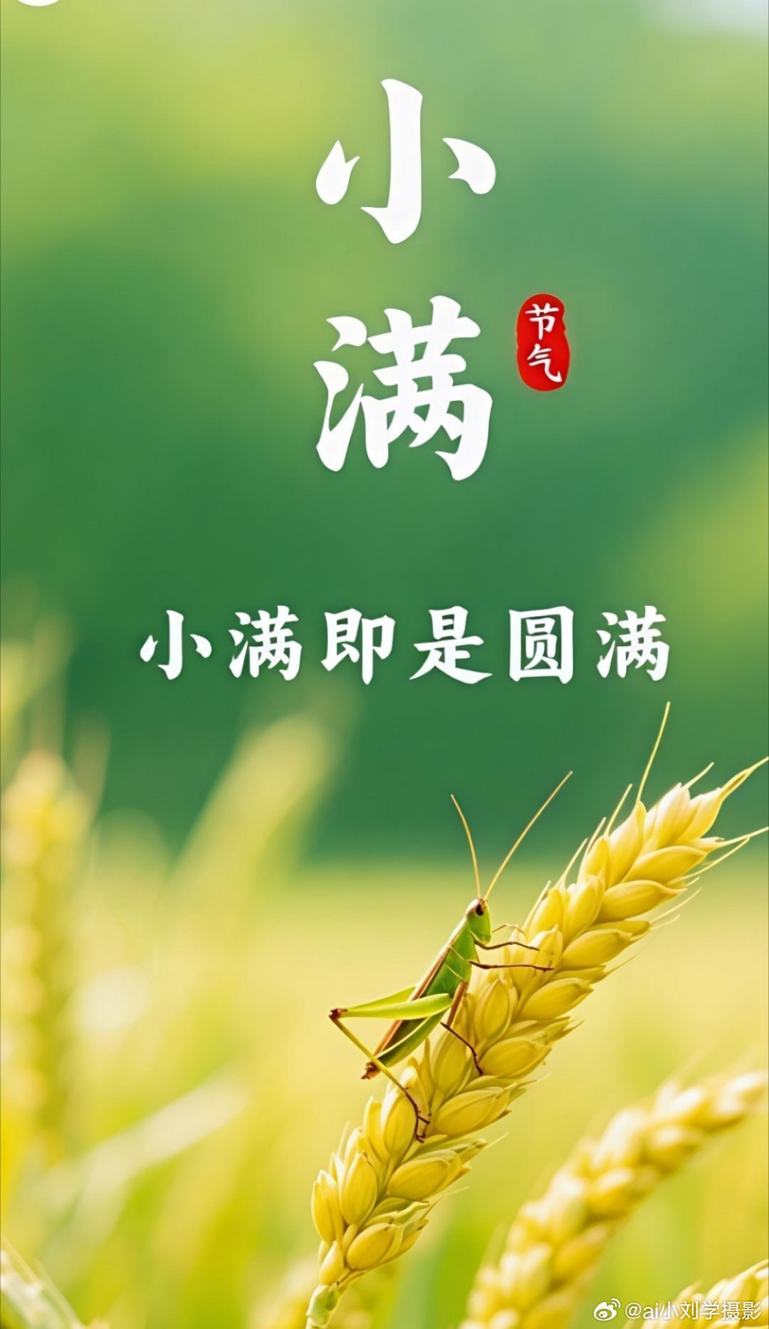小满饮食原则清热祛湿，健脾养胃。这八字方针就是帮你躲过这一整个夏天。小满饮食原则