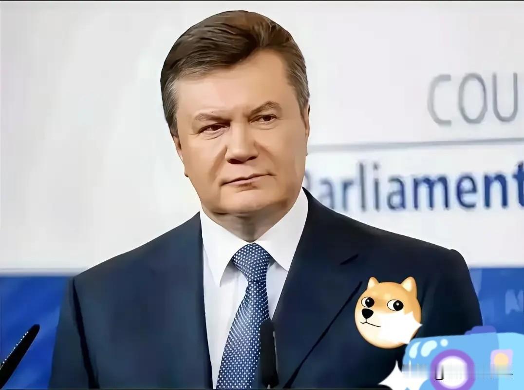 乌克兰真正的罪人到底是谁？有人说是前总统亚努种维奇，因为他稍微中立倾斜于俄罗斯，