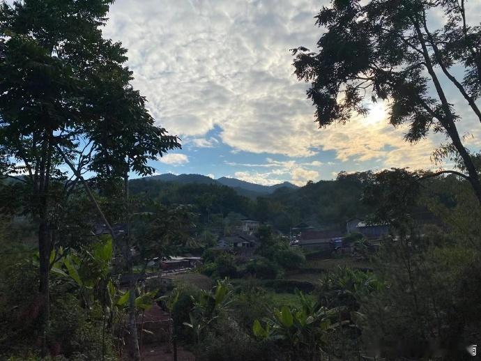 云南生活摘普洱茶[微风][微风]云南旅行 ​​​