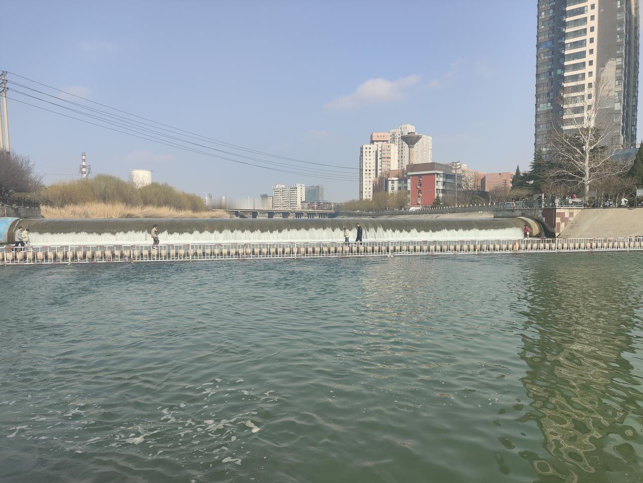 集卡领红包