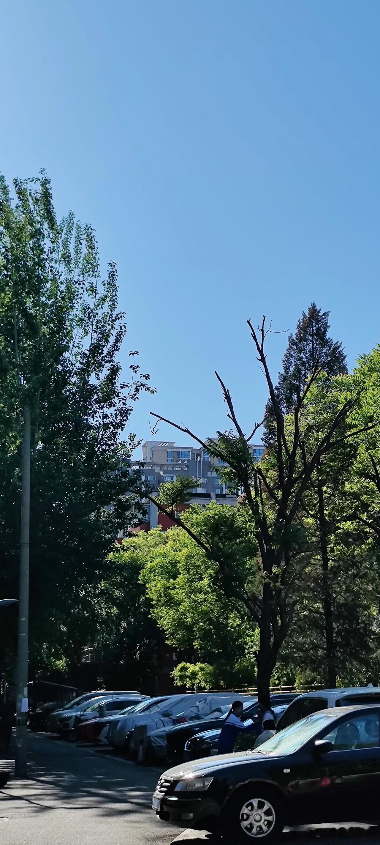 人是不是都会变老,都会死? 说实话 你我都会变老，都会死，不容置疑。
楼前，一边