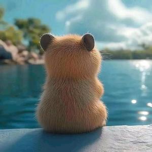 西红柿爱炒番茄