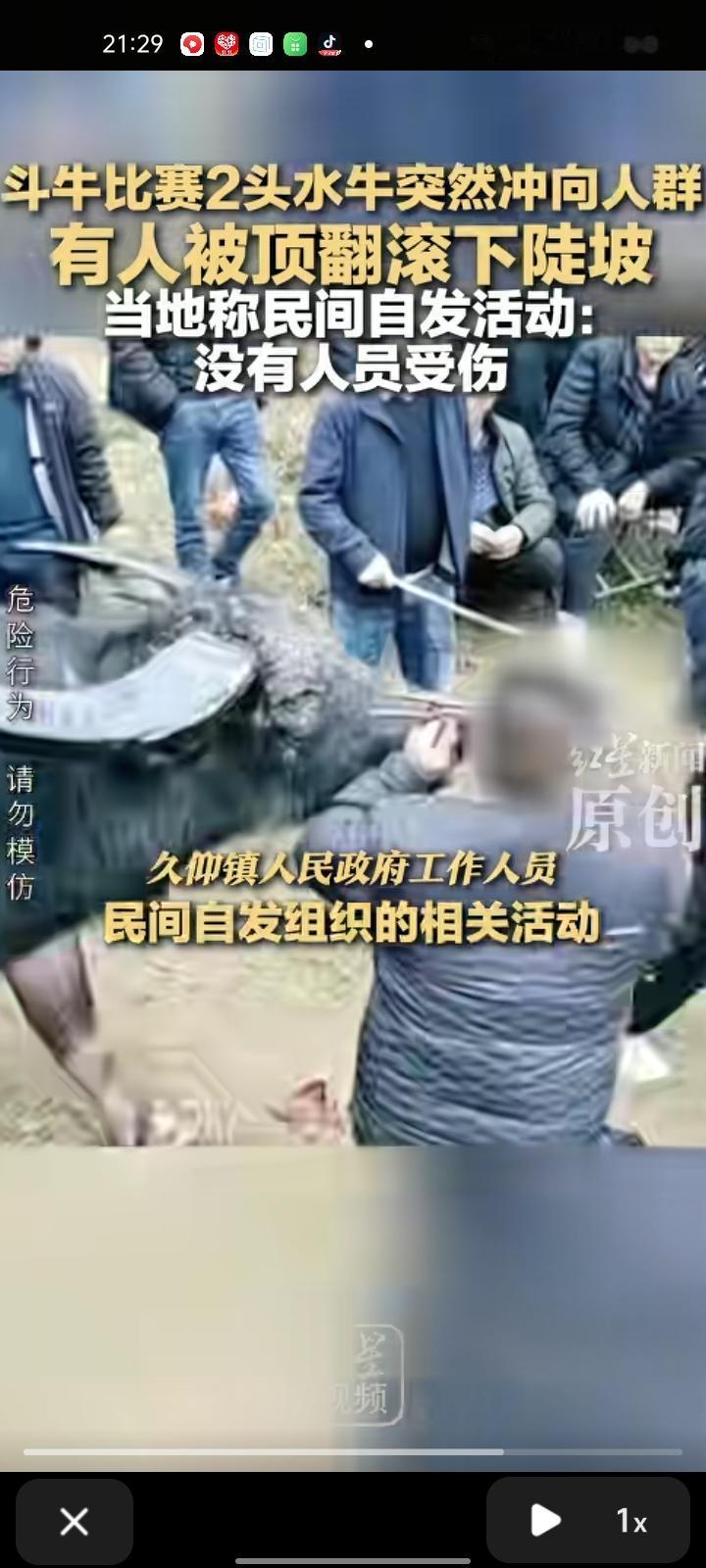 11月1日，黔东南州剑河县某斗牛场内有两头水牛在追逐时突然冲向人群，有人被顶翻后