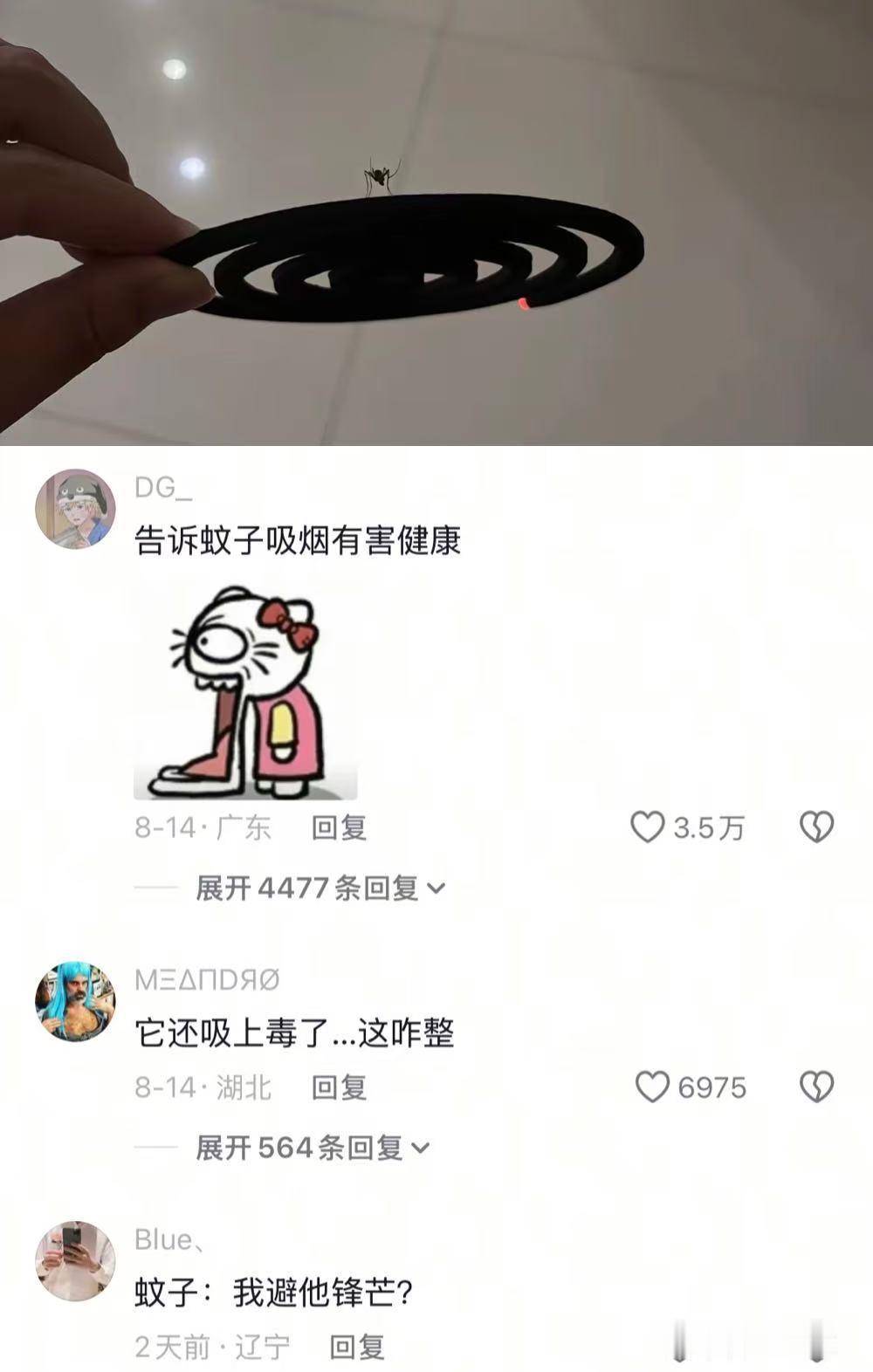我就说蚊香就是蚊子的香薰吧[可爱] ​​​