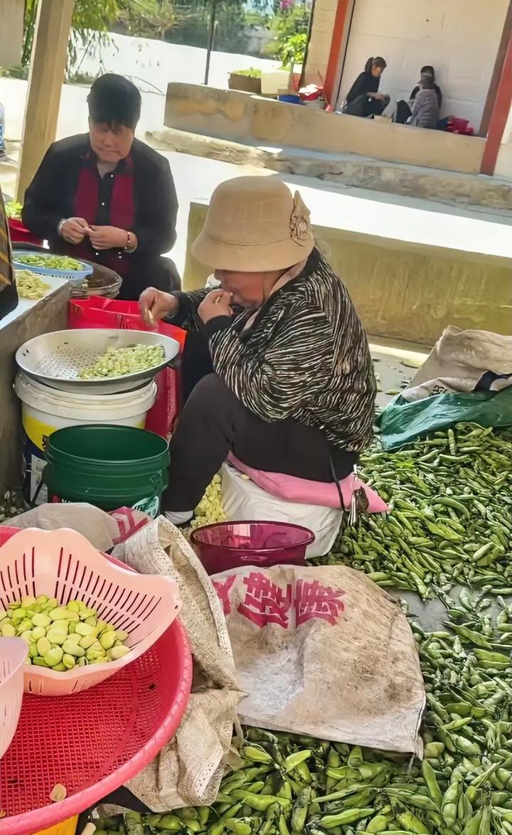 这可真是“进口”蚕豆，这一幕如果让爱吃蚕豆粒的人看到，不得把隔夜饭吐出来？
这个