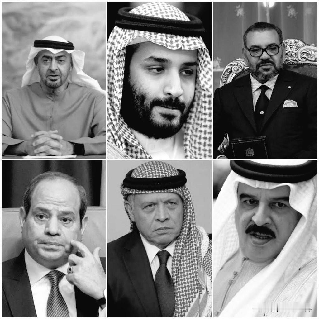 巴林是穆斯林国家。沙特是穆斯林国家。阿联酋是穆斯林国家。卡塔尔是穆斯林国家。而这