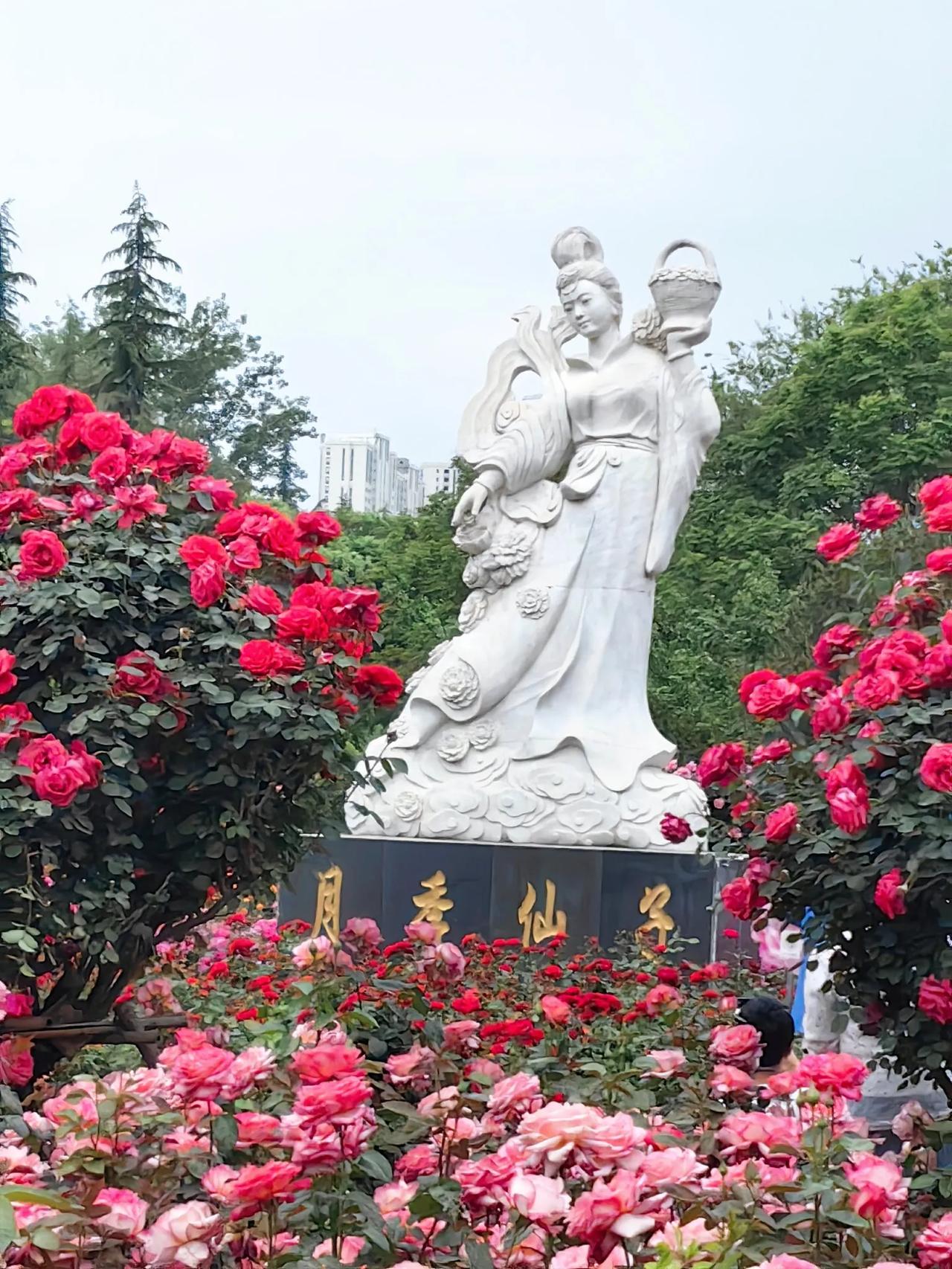 三门峡市召公岛上有个牡丹园，我连续3年去赏牡丹，感觉还是不错的。虽然赶不上洛阳与