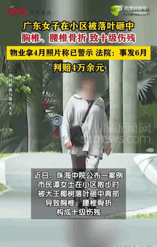 这物业干什么吃的！广东珠海，一女子在自家小区里悠闲散步，竟然会被一片从天而降的树