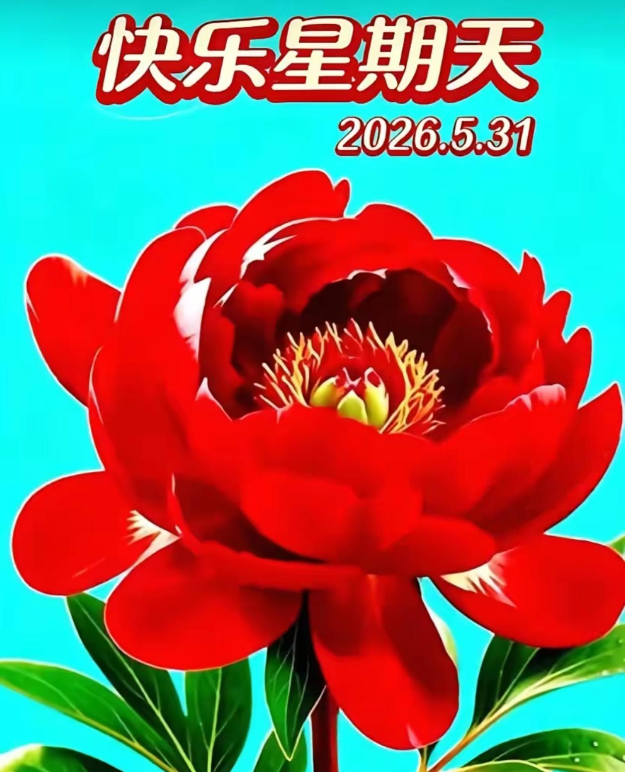 🌺☘️5./31.稚颜疑晓色.欢趣伴流年🌺
 
 
暖风拂面庆佳辰，稚子欢歌