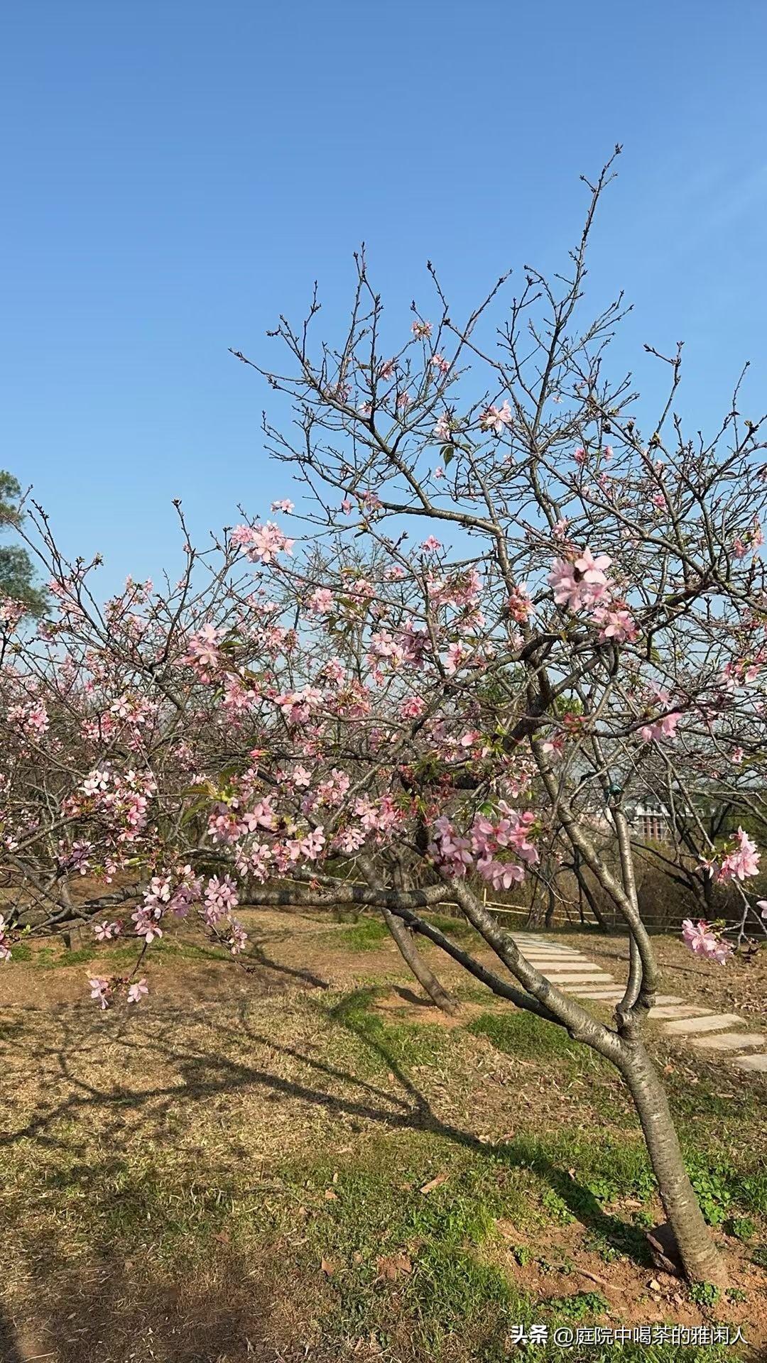 心理医生说得很实在：很多人以为自己抑郁，其实根本不是病，只是钱、爱、情绪价值，三