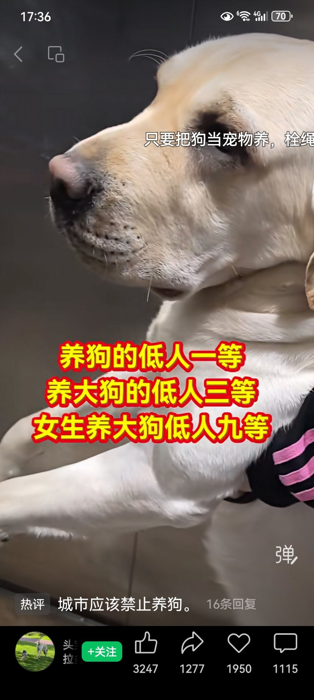 看图说话 【违规养狗确实令人鄙视 】这个视频内容过于极端了。规范养狗的人，是值得