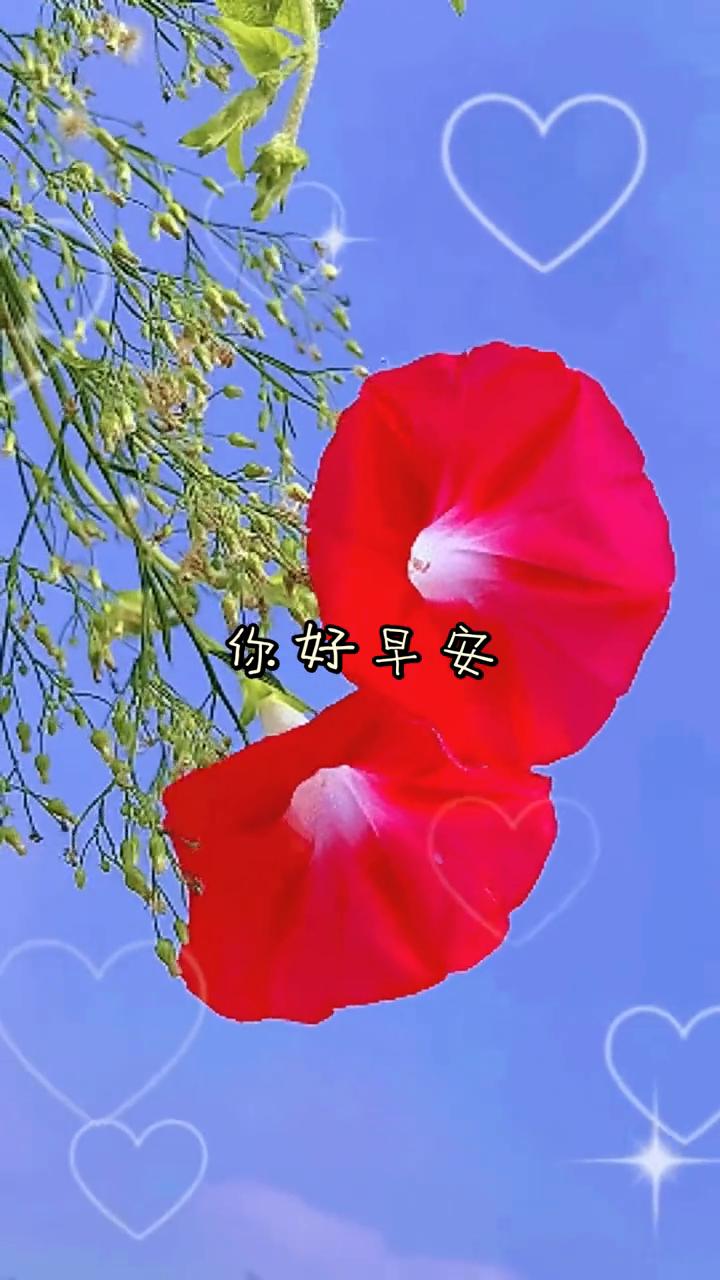 你好早安。