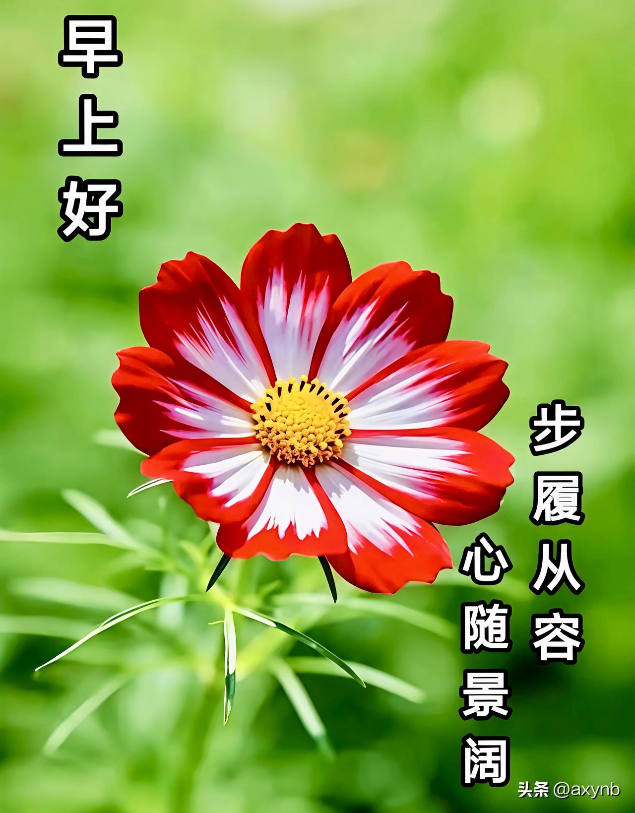 新的一天如约启幕，我的世界有至亲相伴，好友相随，更有幸与你相逢。感恩遇见，感谢有