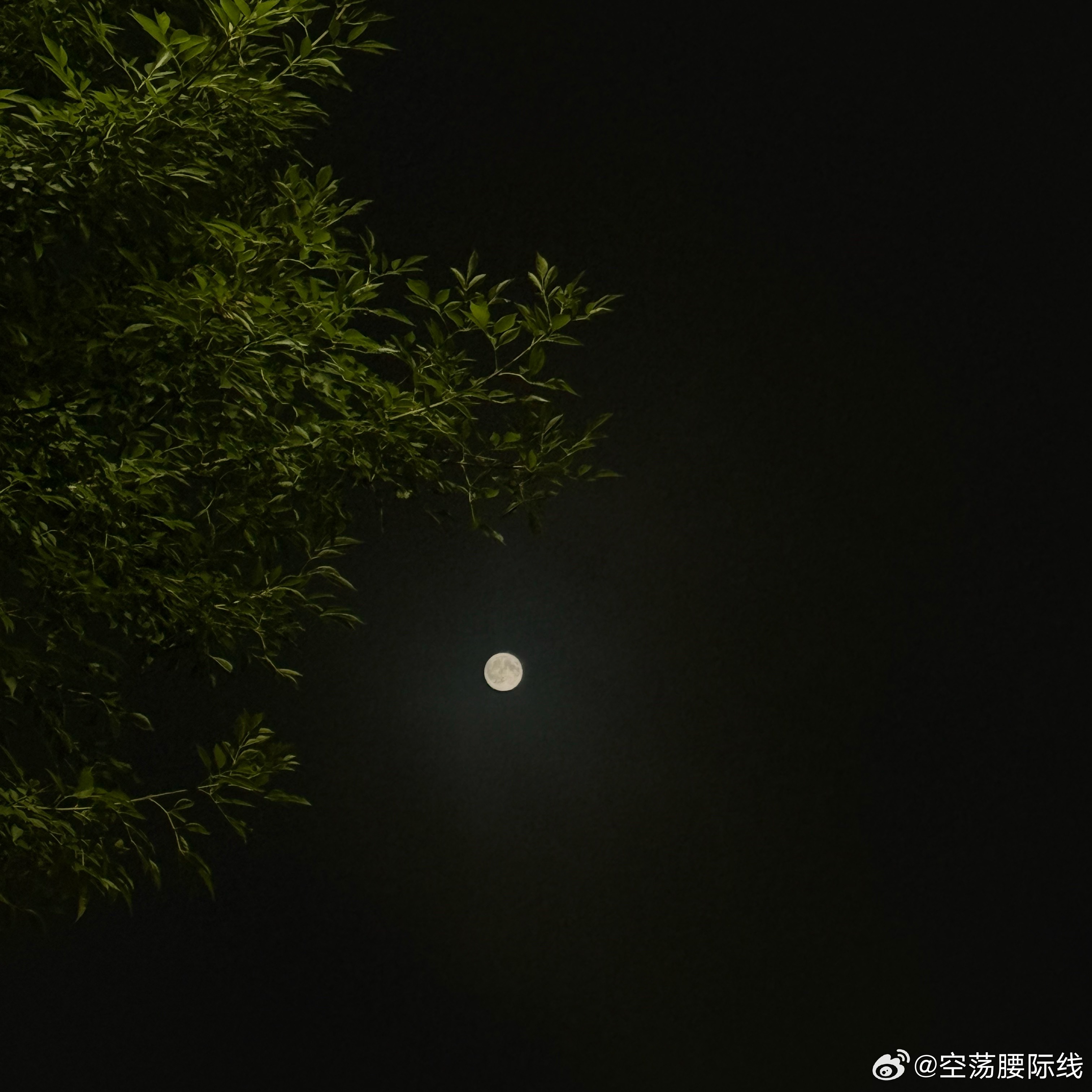 今天的雾好大呀 